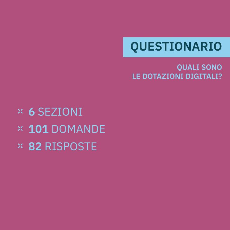 Il questionario